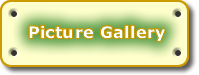 Picture Gallery